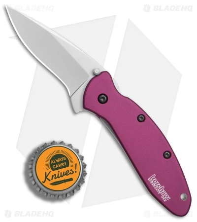 Kershaw Scallion Assisted Opening Knife Purple (2.25" Bead Blast) 1620PUR - Image 4