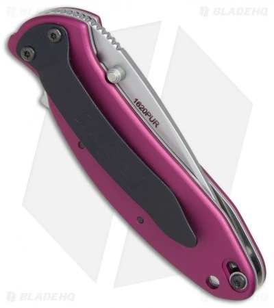 Kershaw Scallion Assisted Opening Knife Purple (2.25" Bead Blast) 1620PUR - Image 2