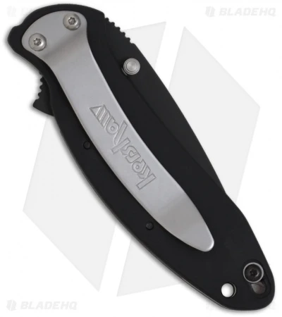 Kershaw Scallion Assisted Opening Knife Black (2.25" Black) 1620ALBLK - Image 2