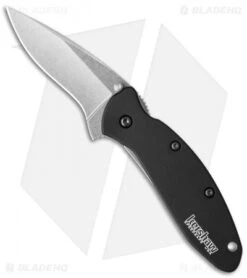 Kershaw Scallion Assisted Opening Knife Black (2.25" Stonewash) 1620SWBLK